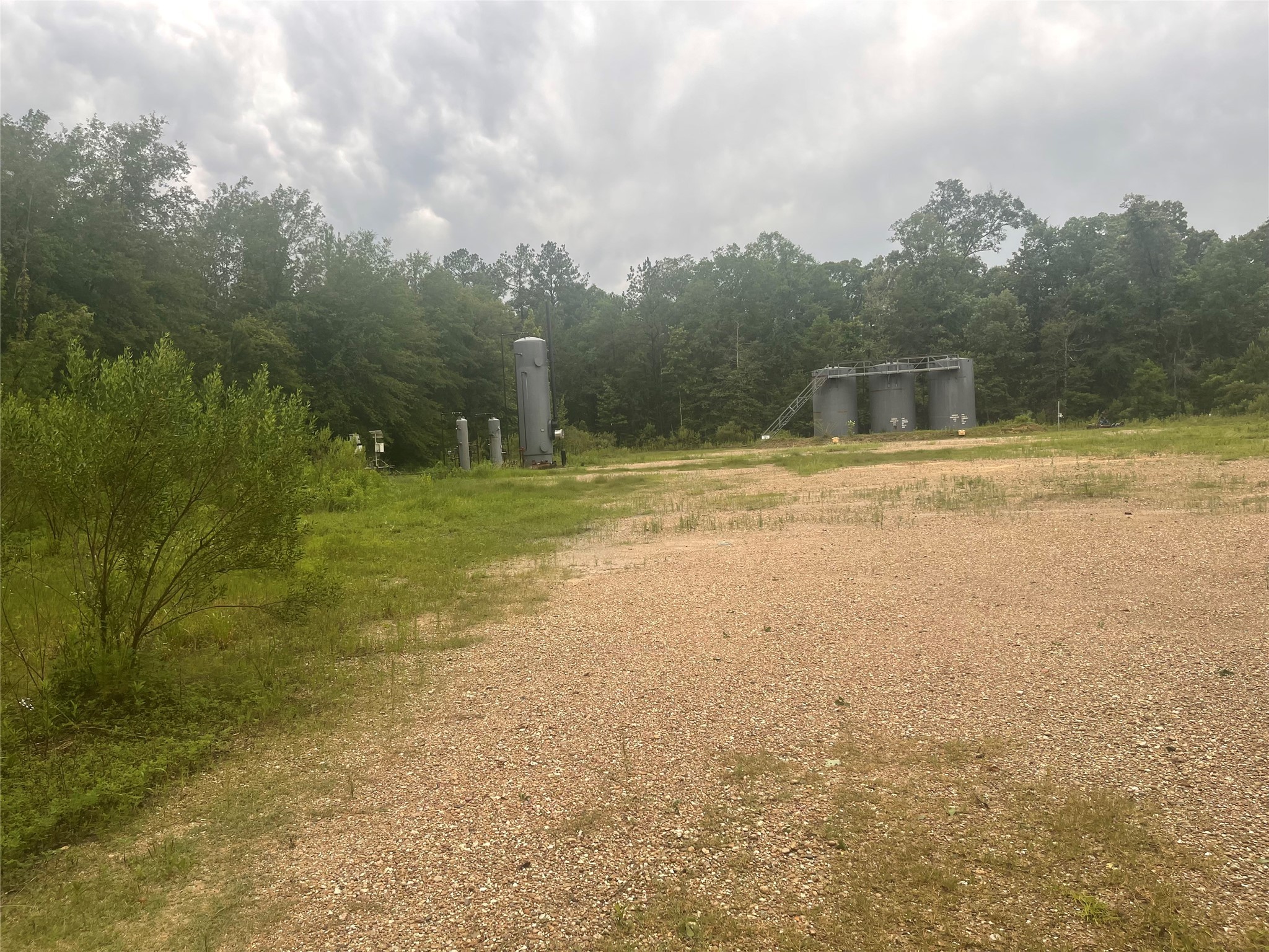 000 Towering Pines Property Photo 2
