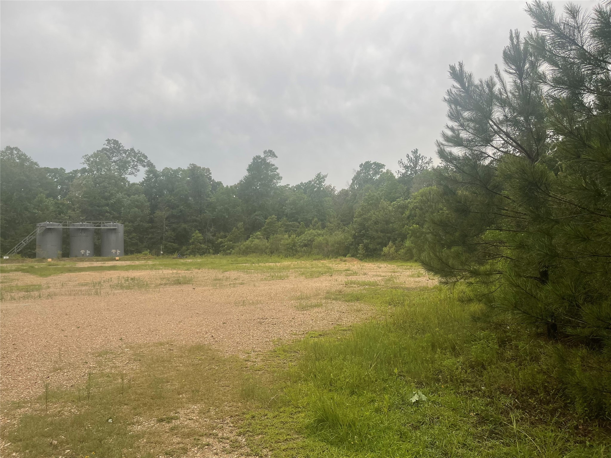 000 Towering Pines Property Photo 4