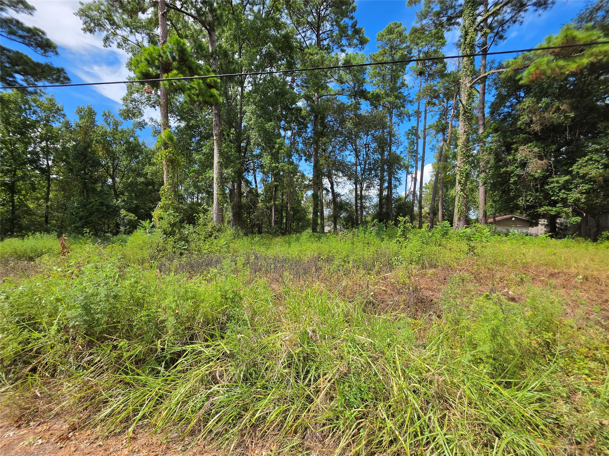 156 Lakeview Drive