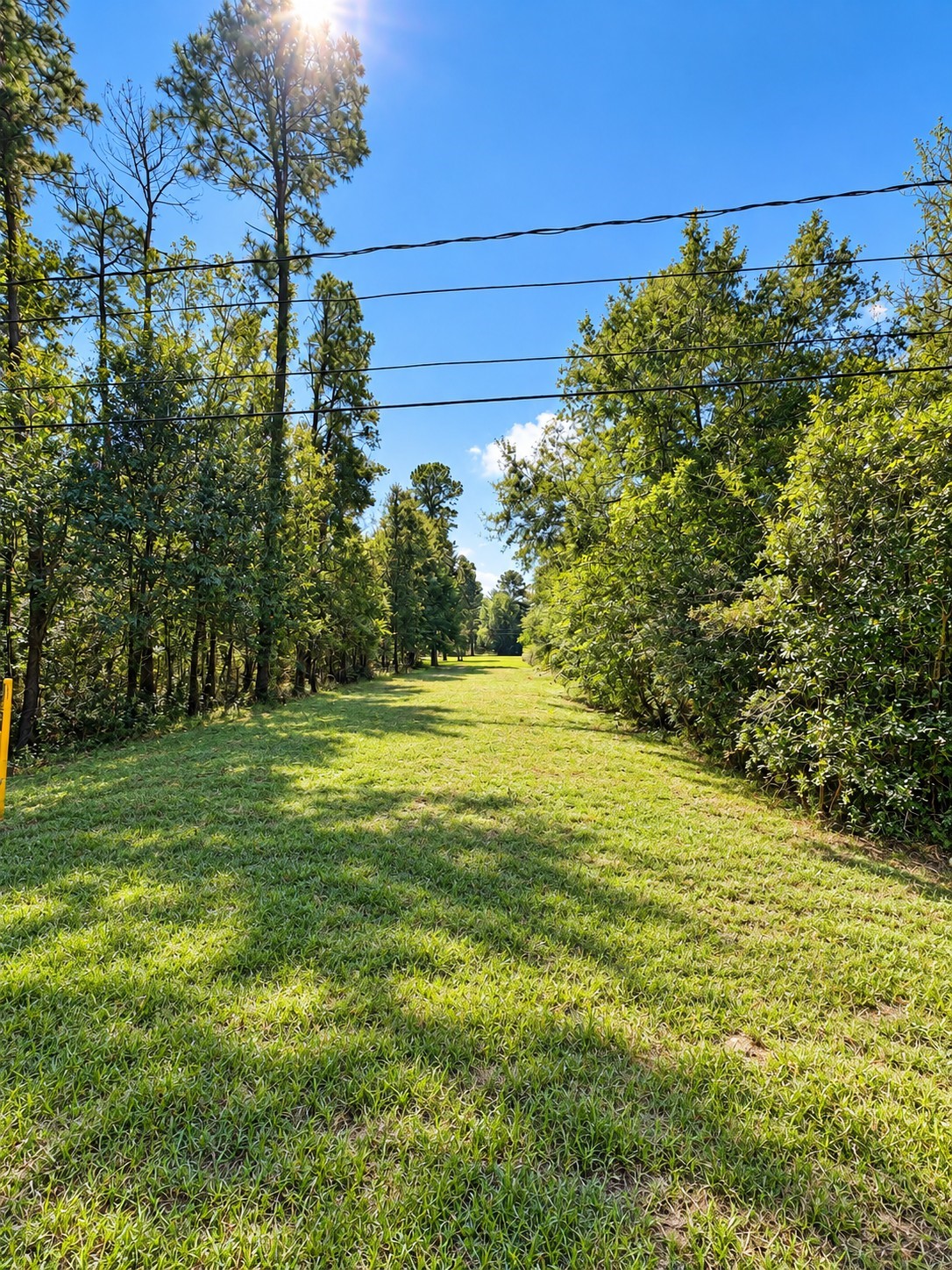 Lots 638 & 639 Moose Drive Property Photo 4