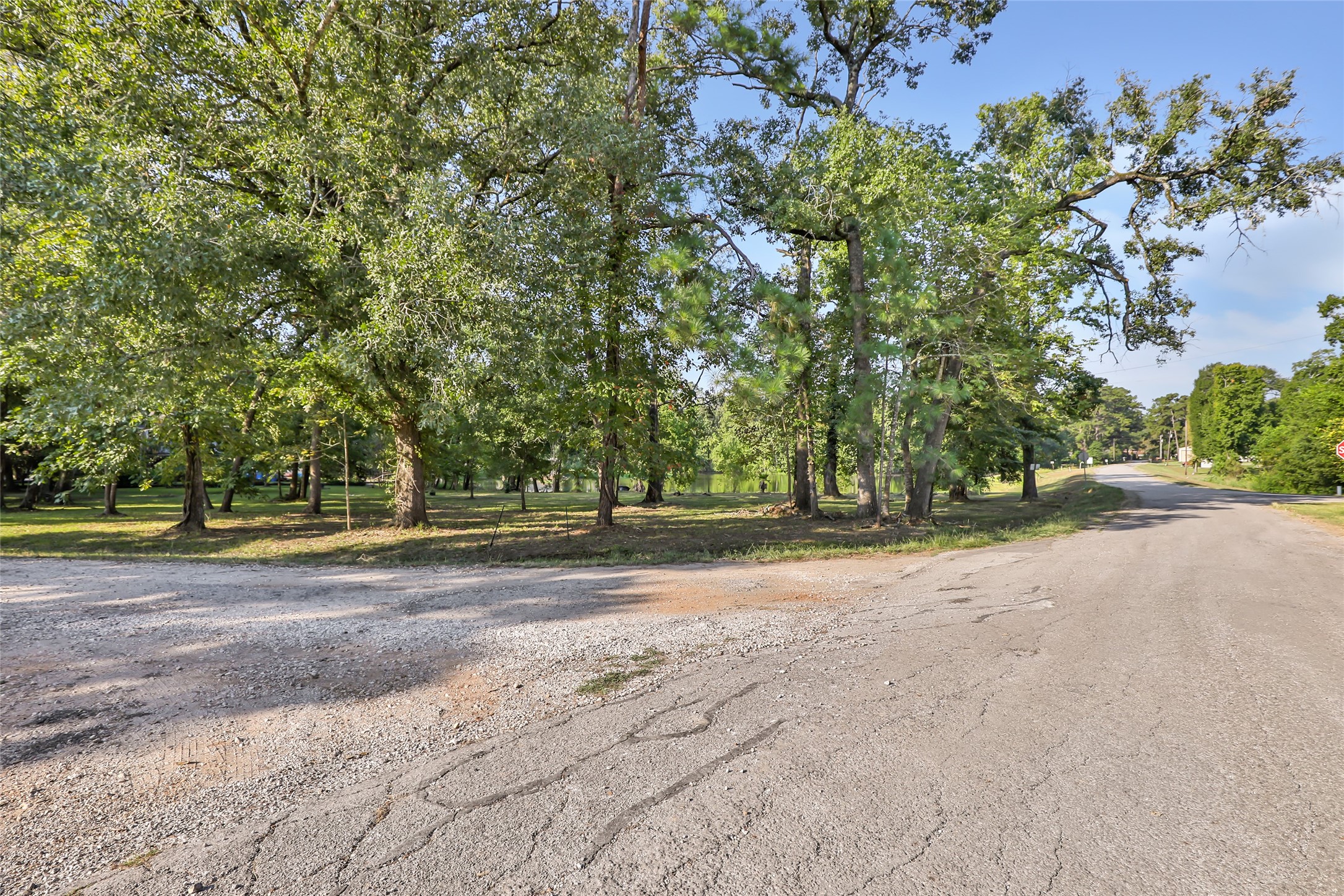 Tbd Dominy Drive Property Photo 1