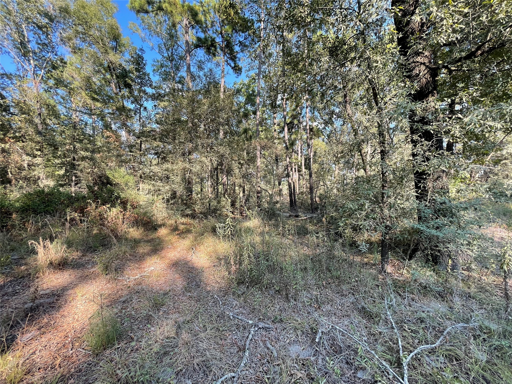 136 Forrestcrest Drive Property Photo 3