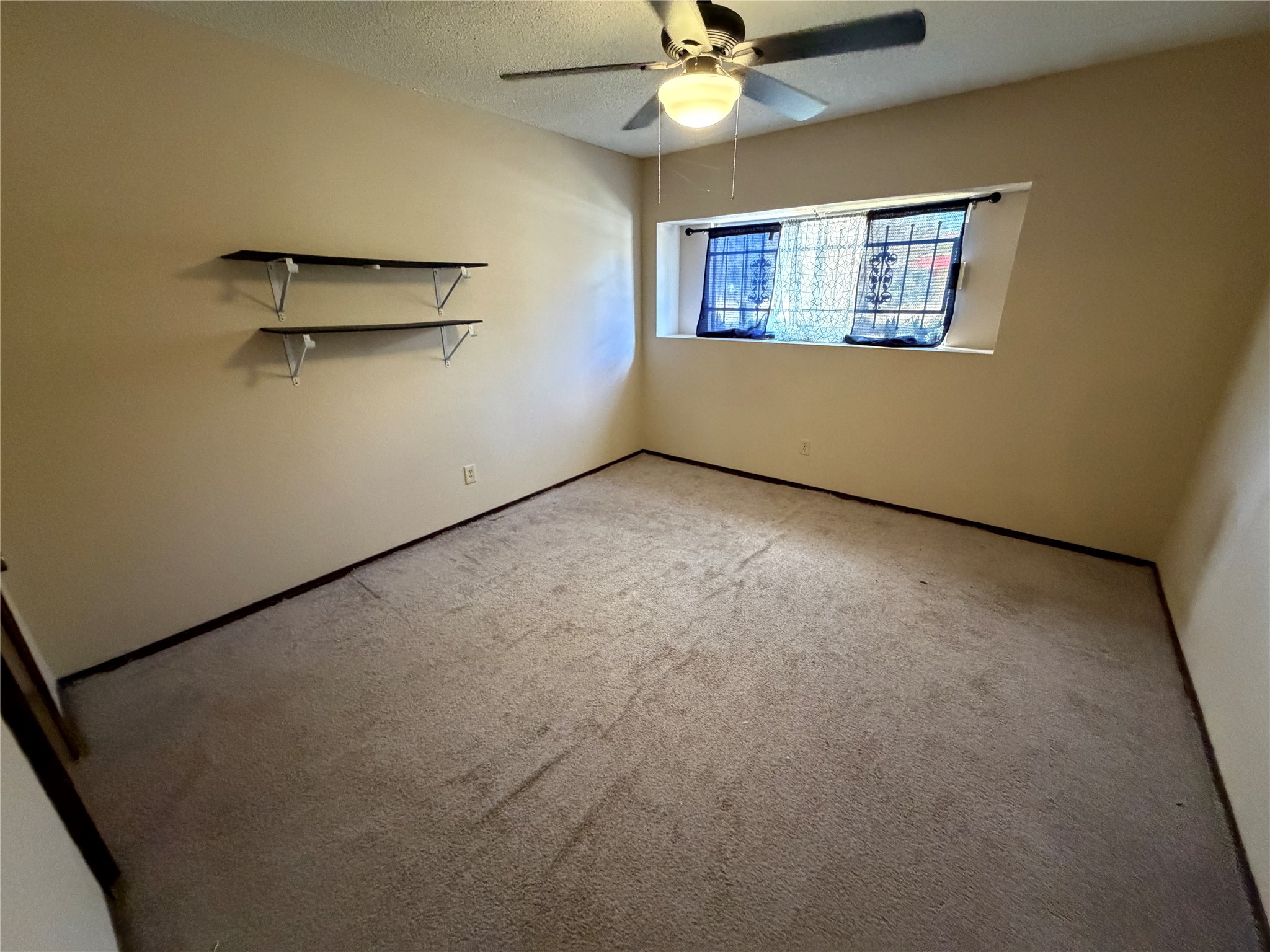 20006 Timber Forest Drive Property Photo 4