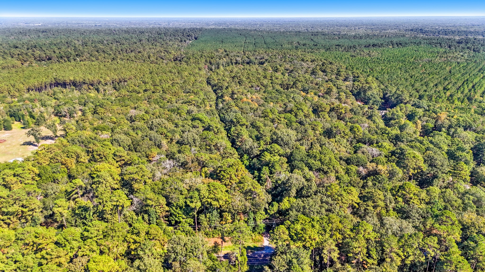 000000 Simmons Bottom Road Property Photo 3