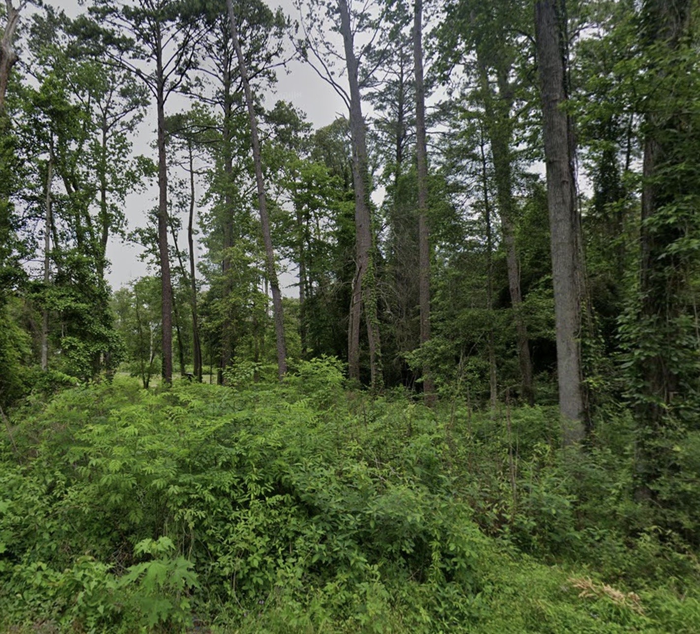 Lot 7 White Oak Property Photo