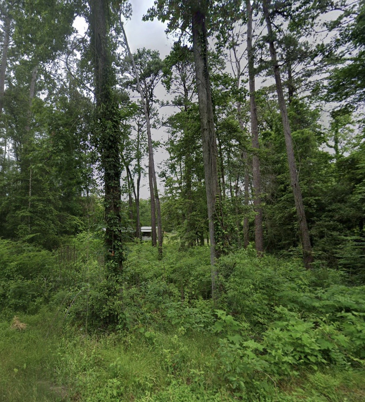 Lot 7 White Oak Property Photo 4
