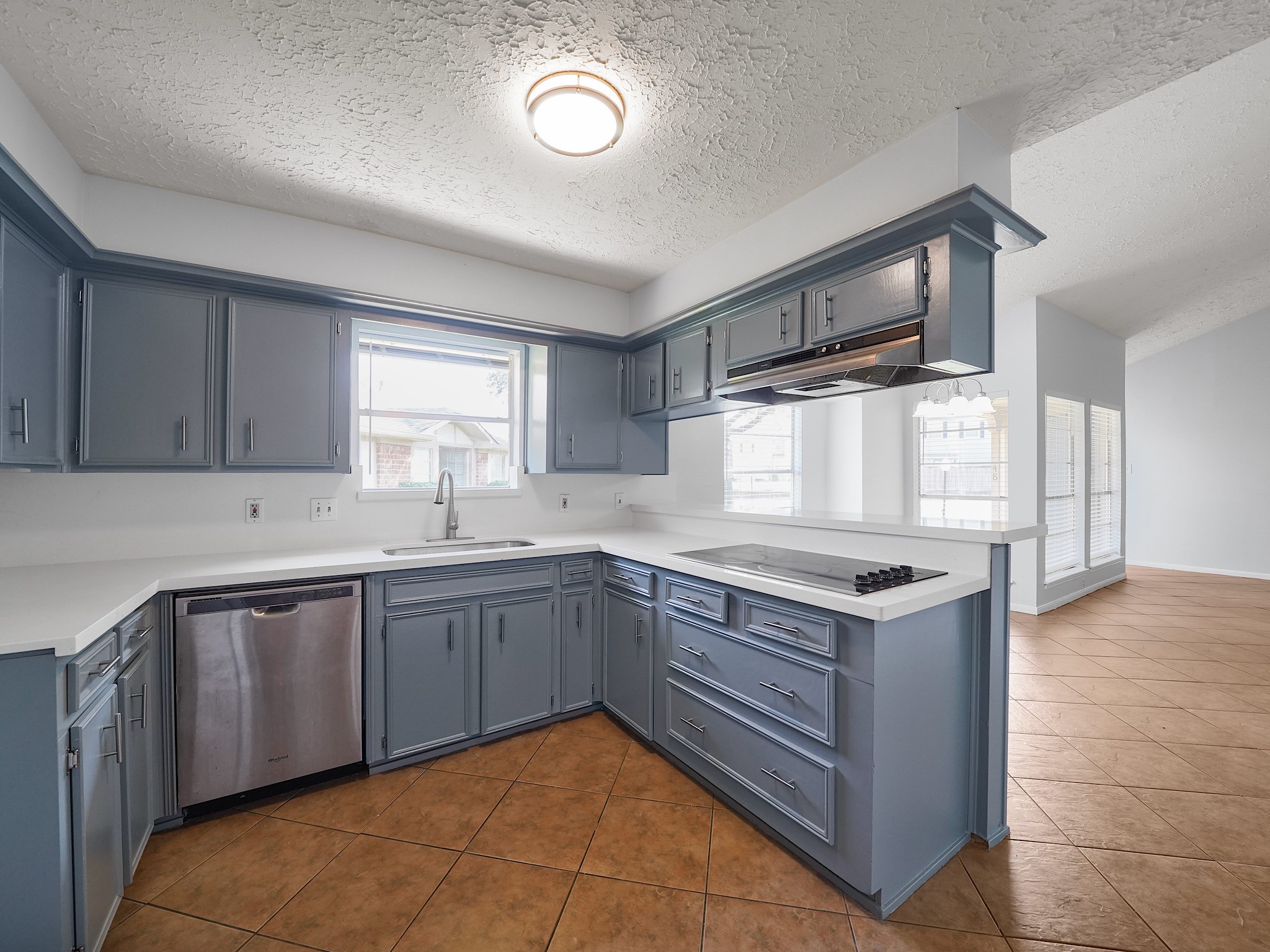48 Chapparal Court Property Photo 6