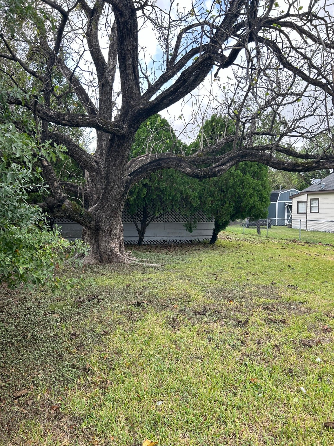 206 N Main Street Property Photo 4