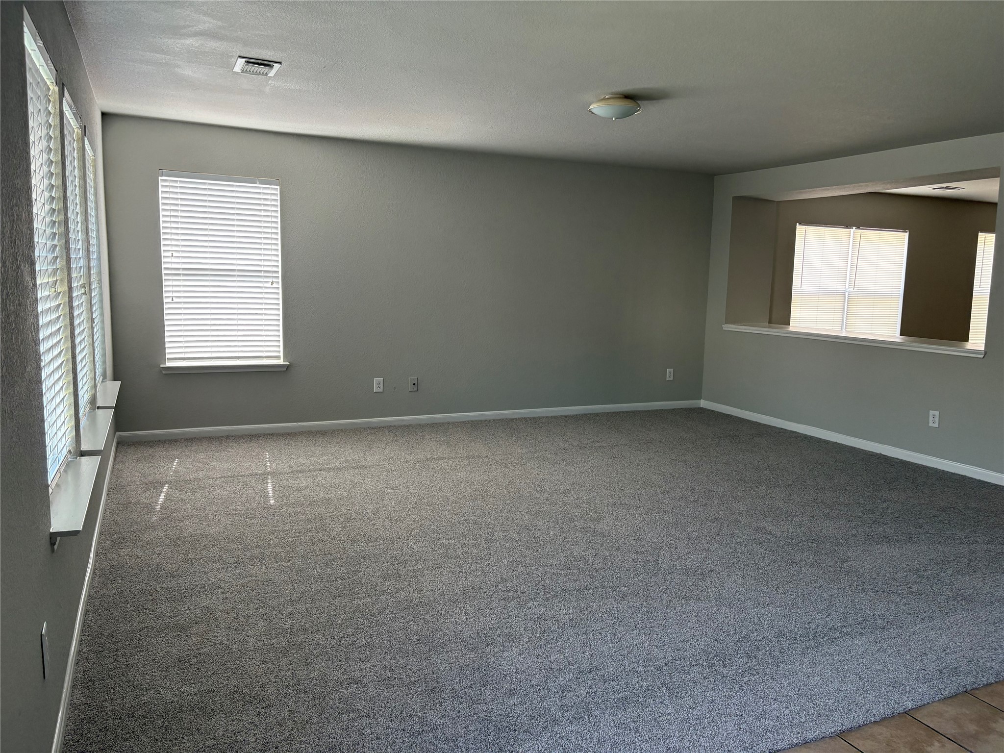 11423 Sugar Bowl Drive Property Photo 3