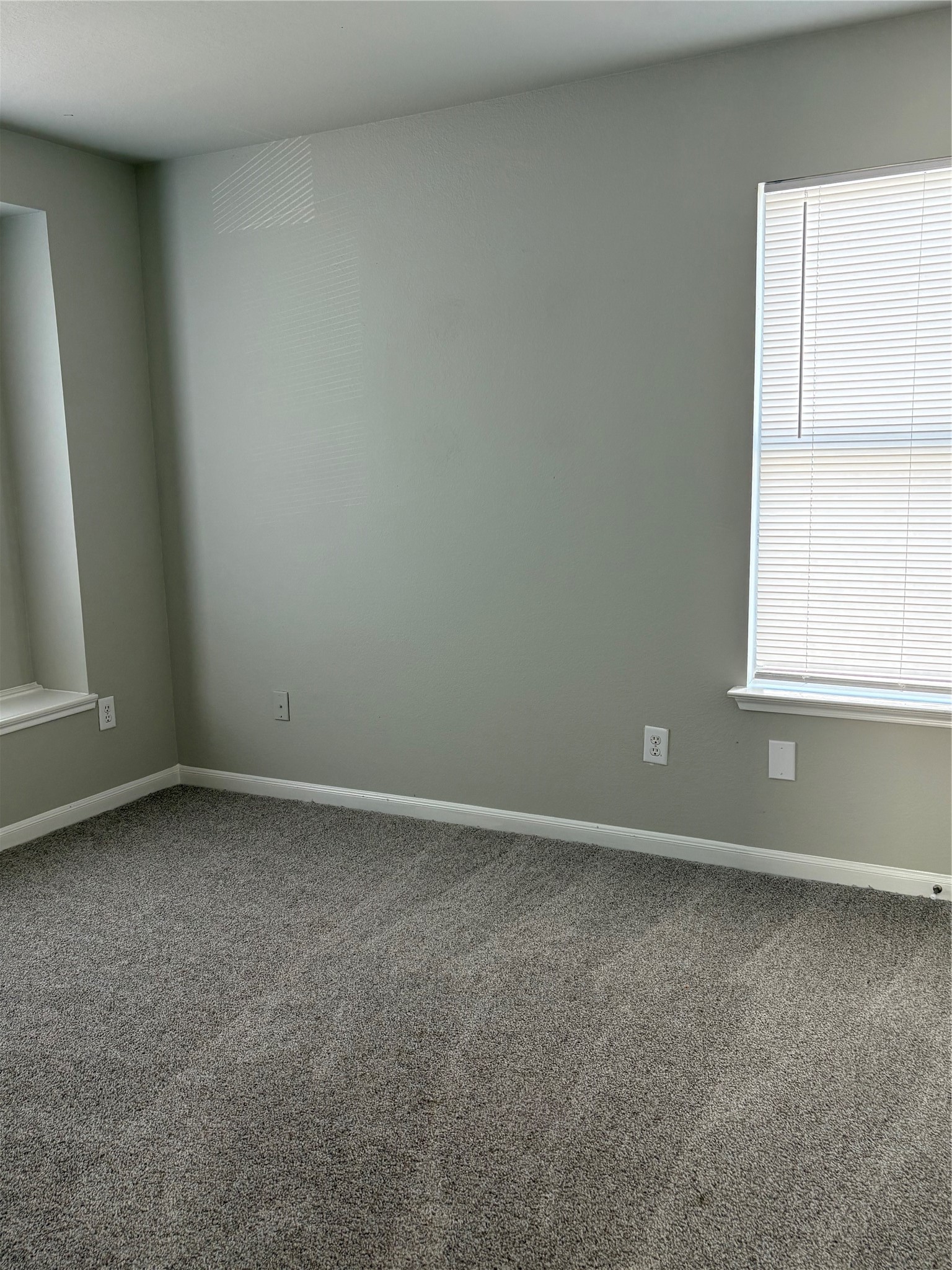11423 Sugar Bowl Drive Property Photo 6