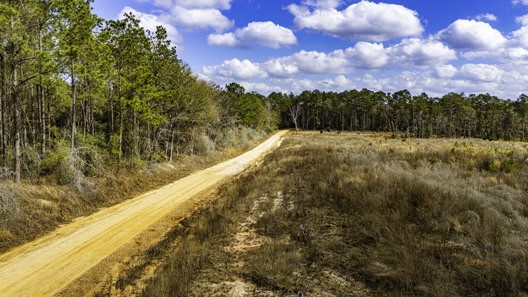 232 Ranch Road Tx-146 Property Photo 2