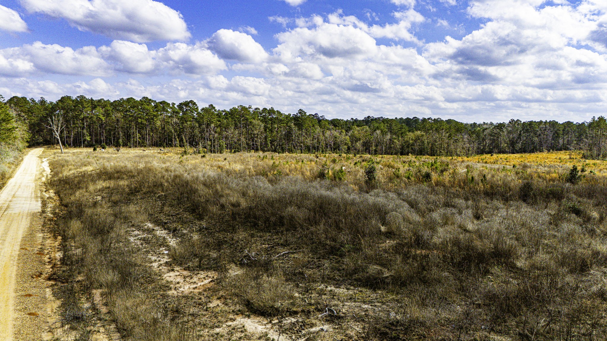 232 Ranch Road Tx-146 Property Photo 3