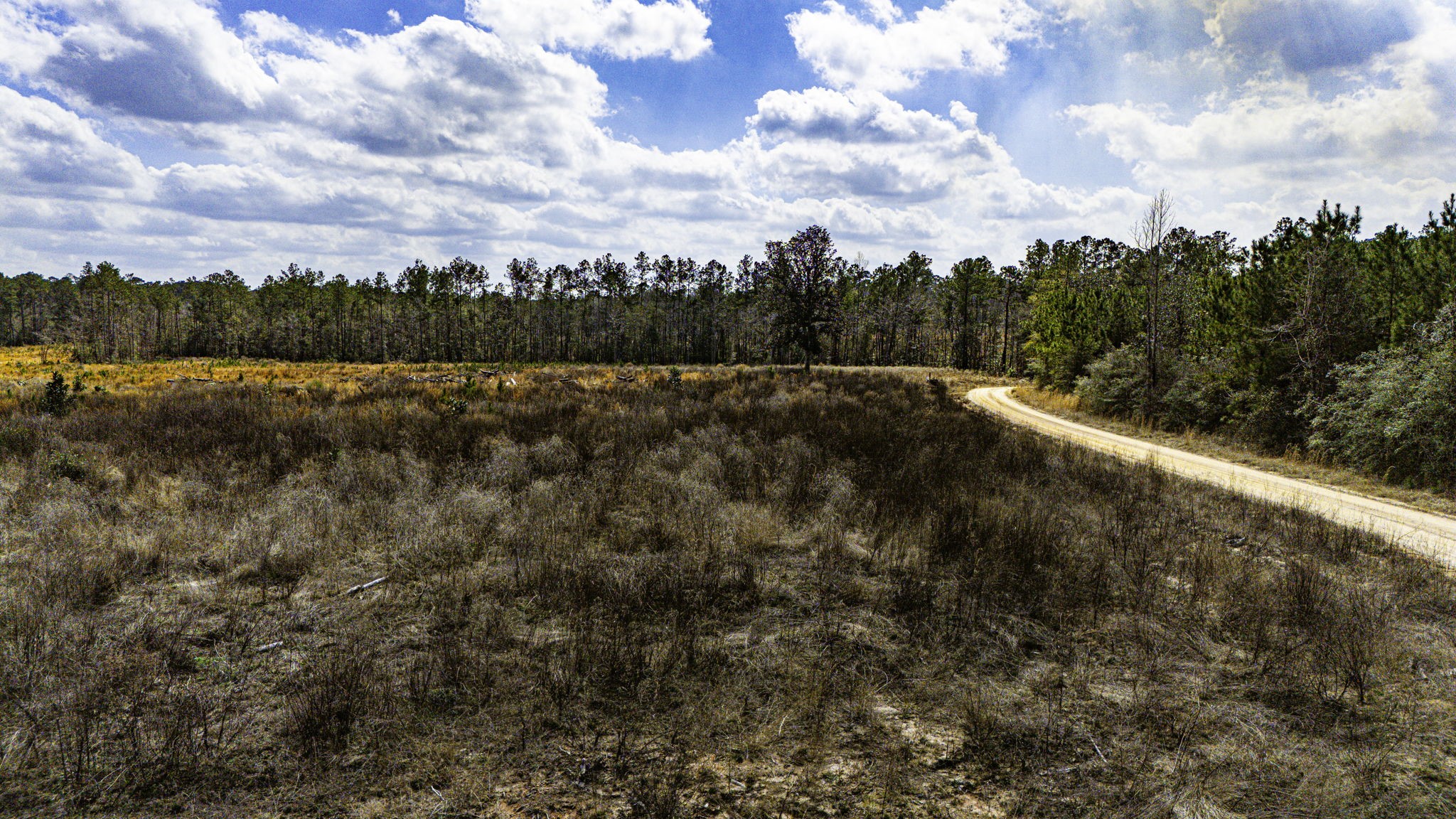 232 Ranch Road Tx-146 Property Photo 5