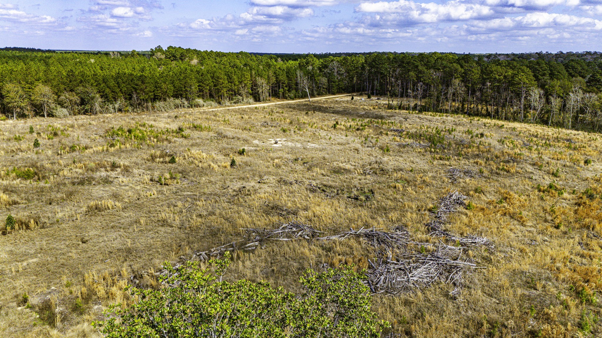 232 Ranch Road Tx-146 Property Photo 6