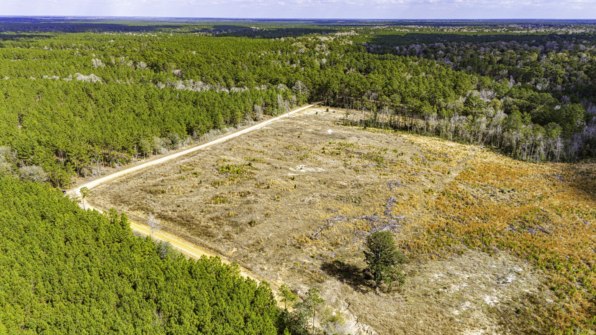 232 Ranch Road Tx-146 Property Photo 10