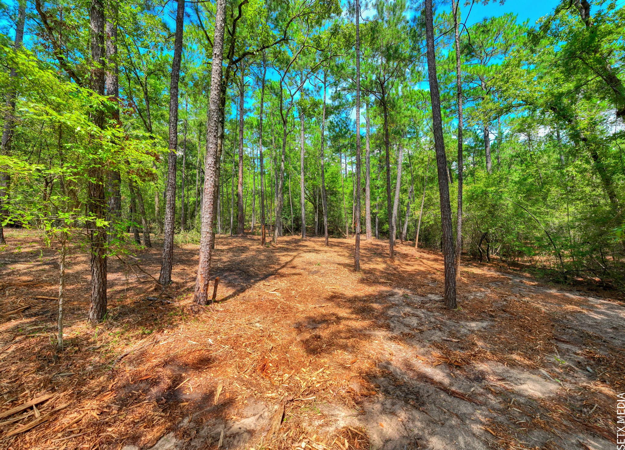 6566 Parkside Property Photo 11