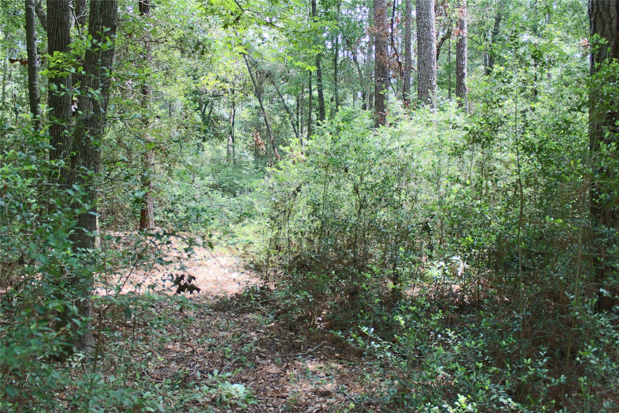 10362 Hunter Creek Lane Property Photo 5