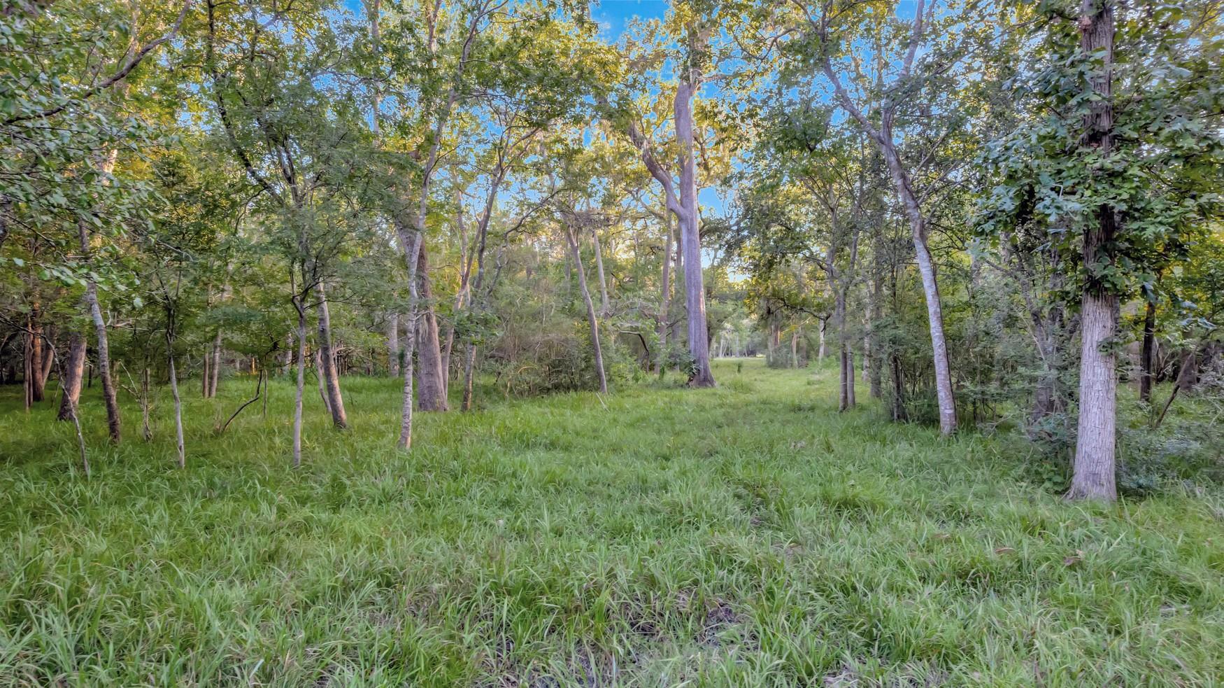 2698 County Road 284 Property Photo 8