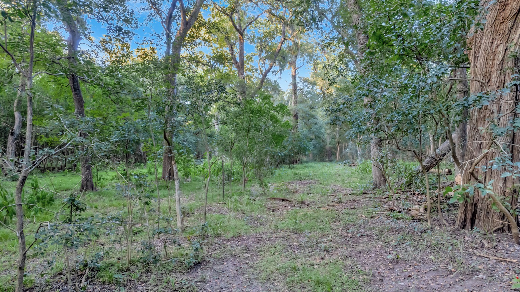 2698 County Road 284 Property Photo 10