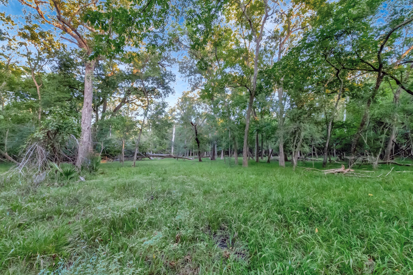 2698 County Road 284 Property Photo 35
