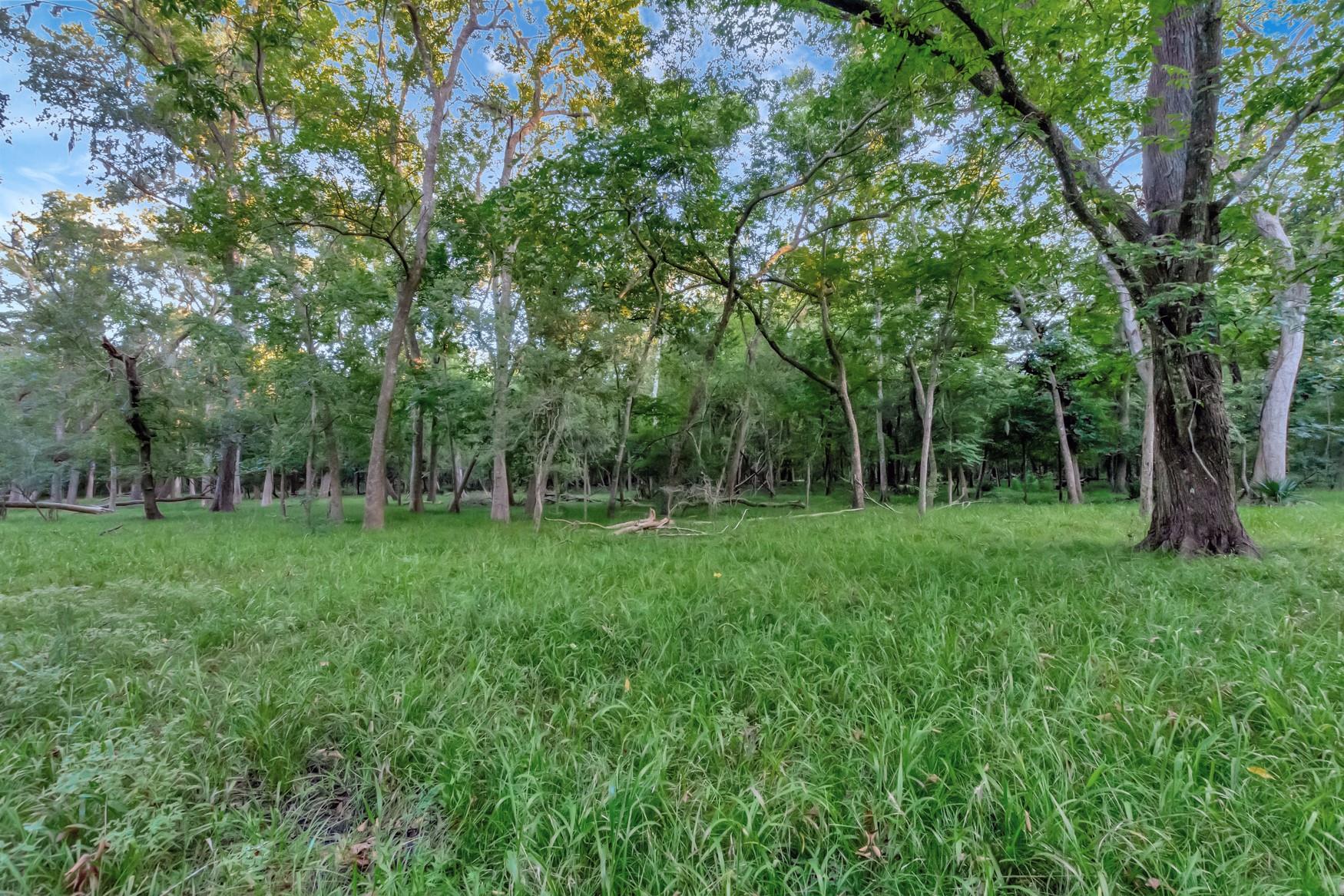 2698 County Road 284 Property Photo 37