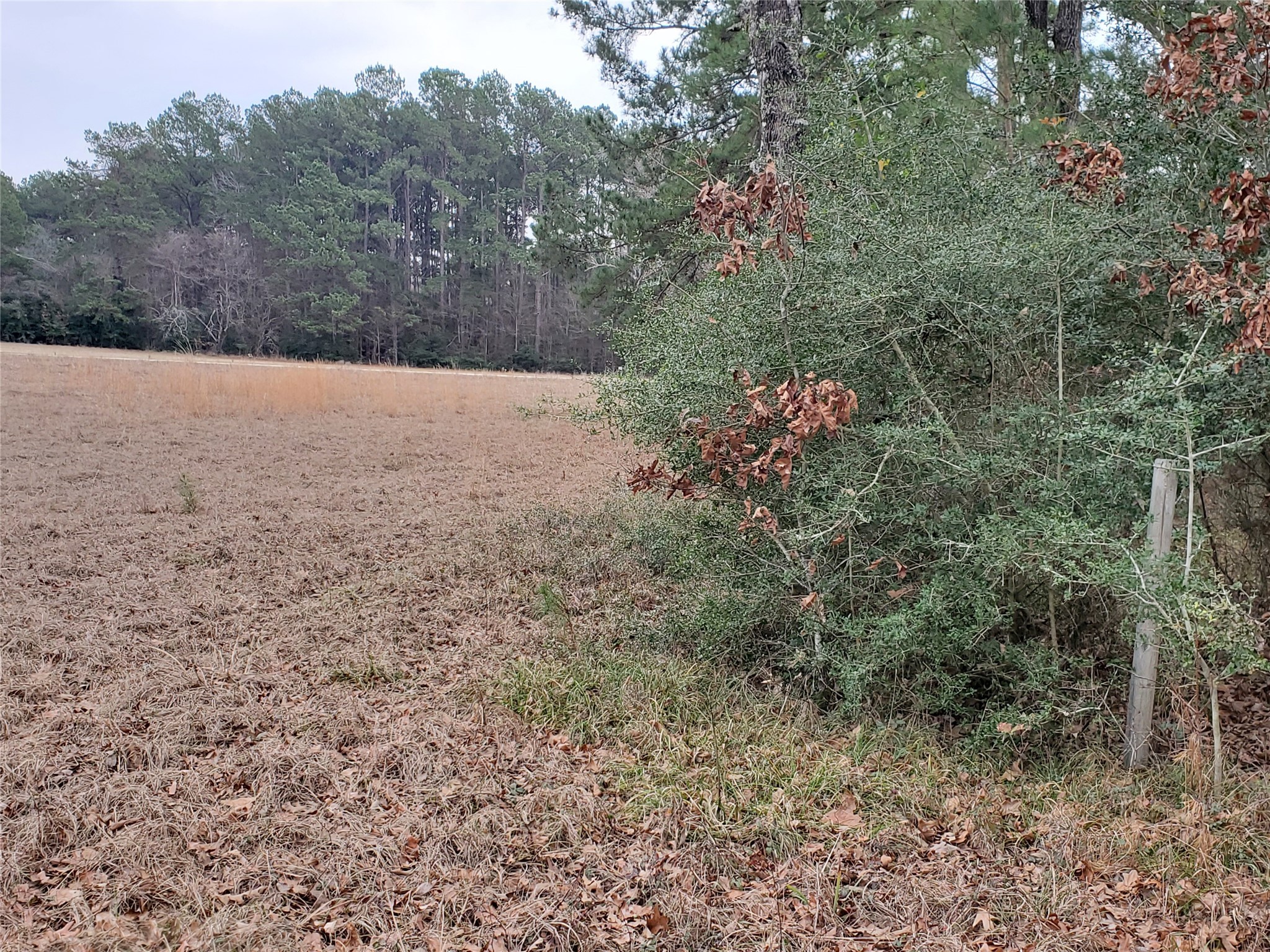 Lot 1 & 2 Oakley Road Property Photo 10