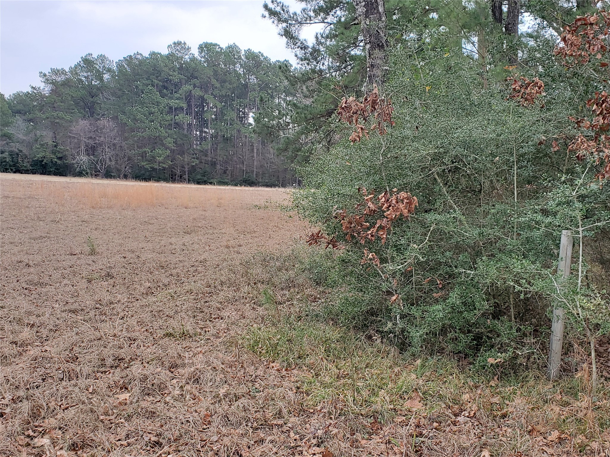 Lot 1 & 2 Oakley Road Property Photo 11