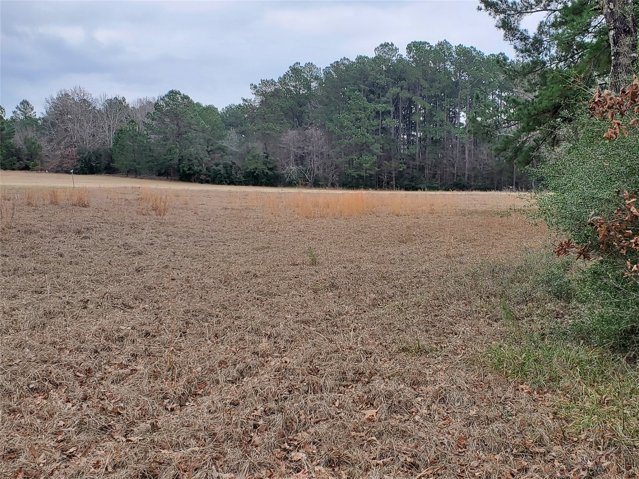 Lot 1 & 2 Oakley Road Property Photo 12
