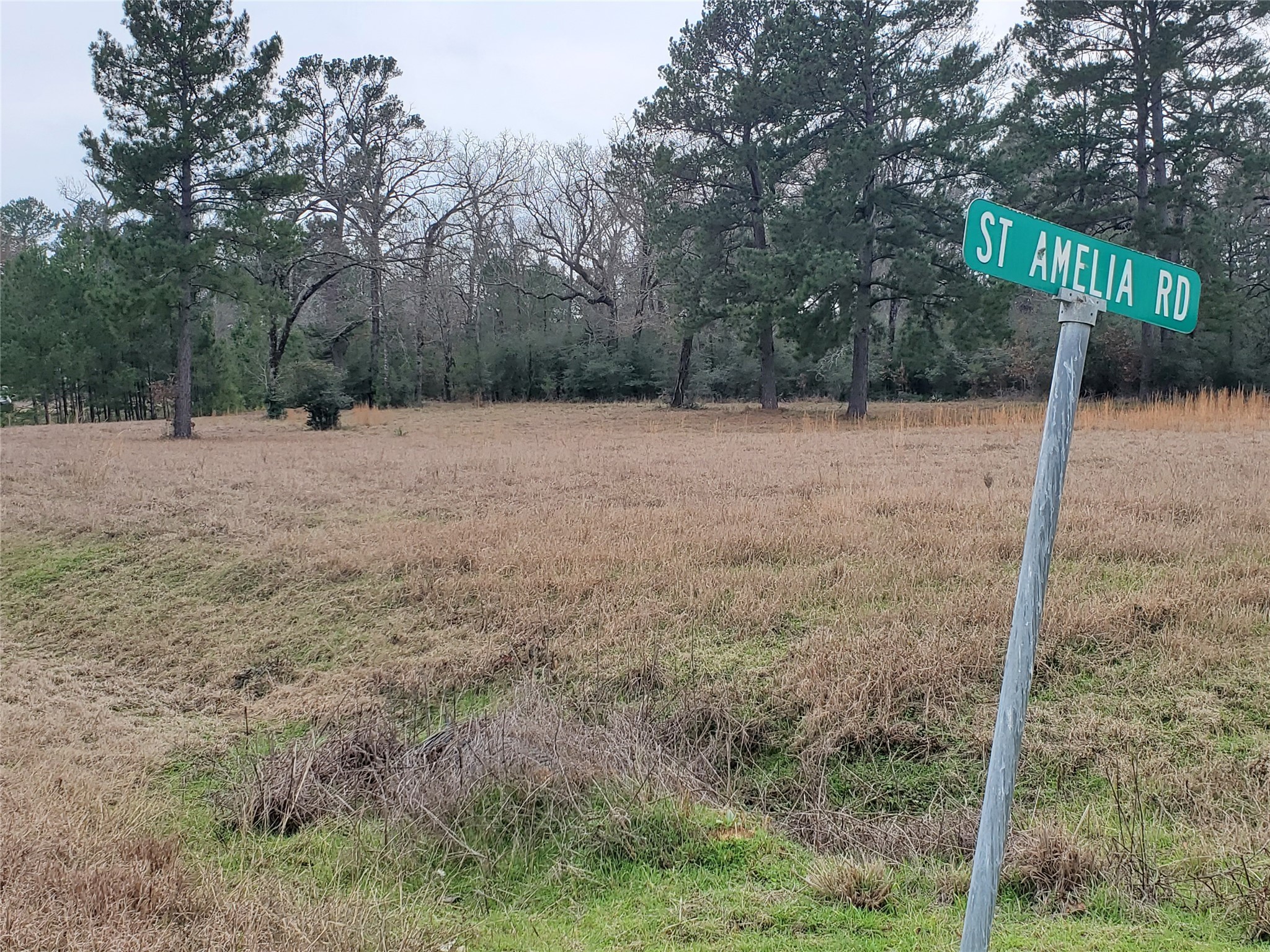 Lot 1 & 2 Oakley Road Property Photo 13