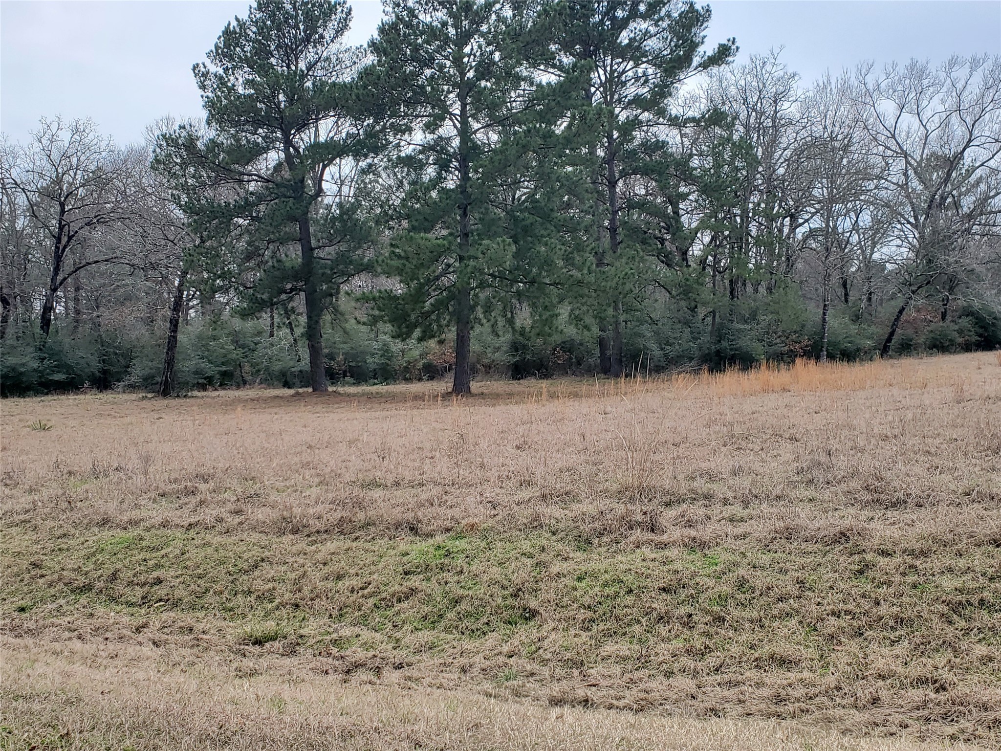 Lot 1 & 2 Oakley Road Property Photo 20