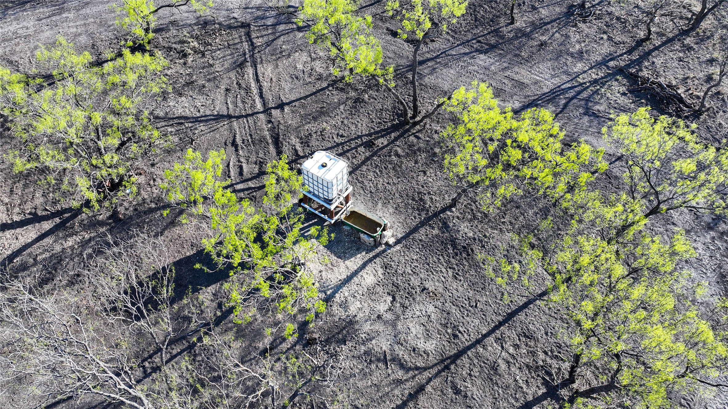 12355 Texas 131 Property Photo 15