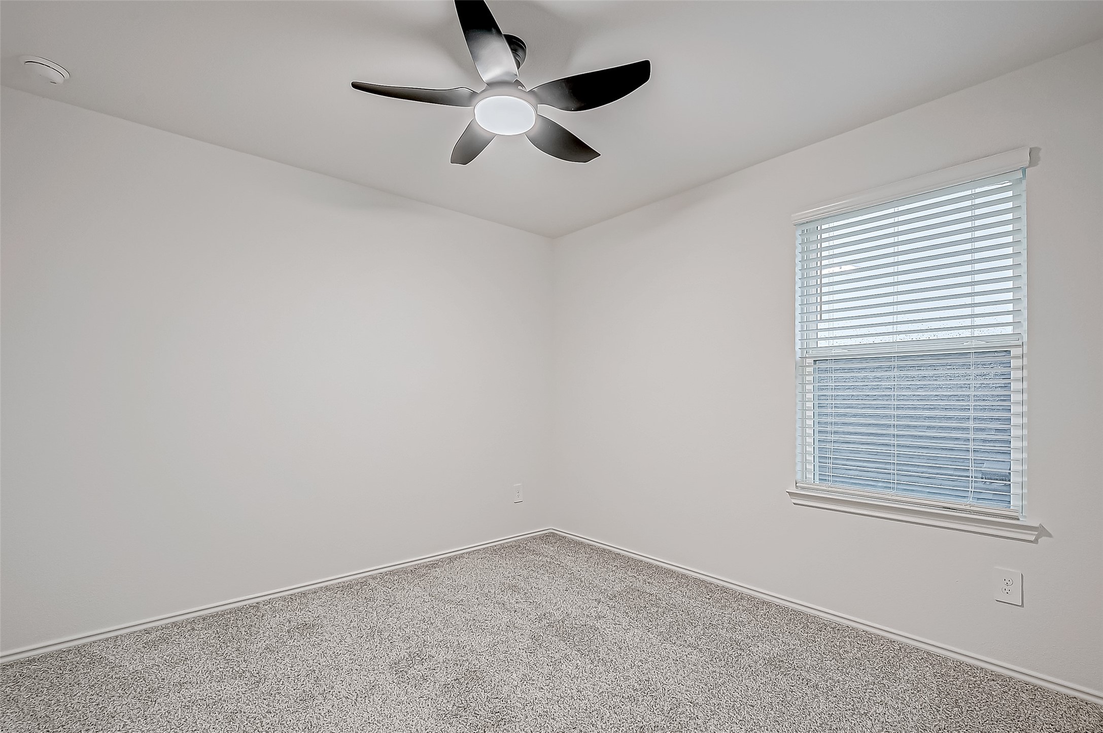4222 Ramsbury Drive Property Photo 25
