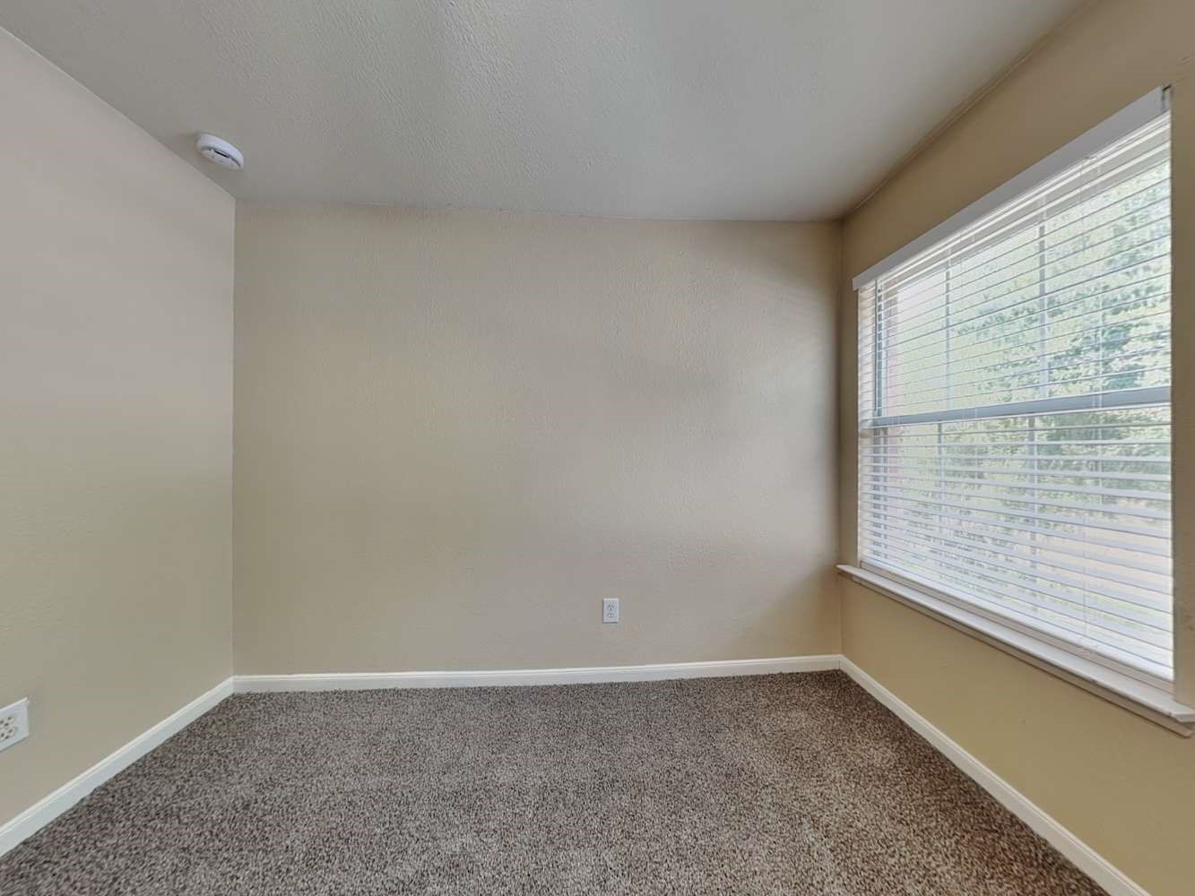 13742 Clarks Fork Drive Property Photo 9
