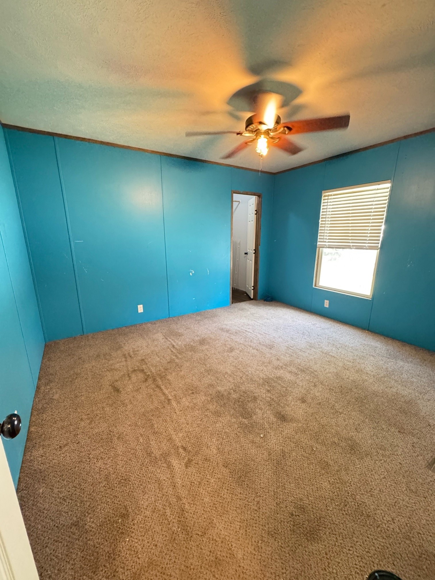 12468 Mustang Road Property Photo 14