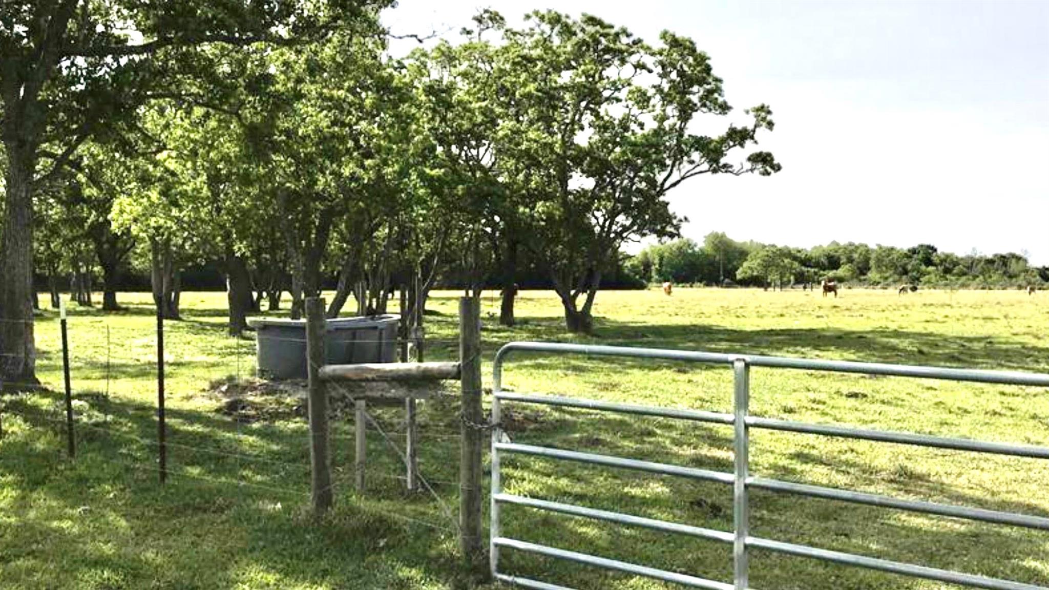 0 Eagle Road, Anahuac Tx 77514 Property Photo 8