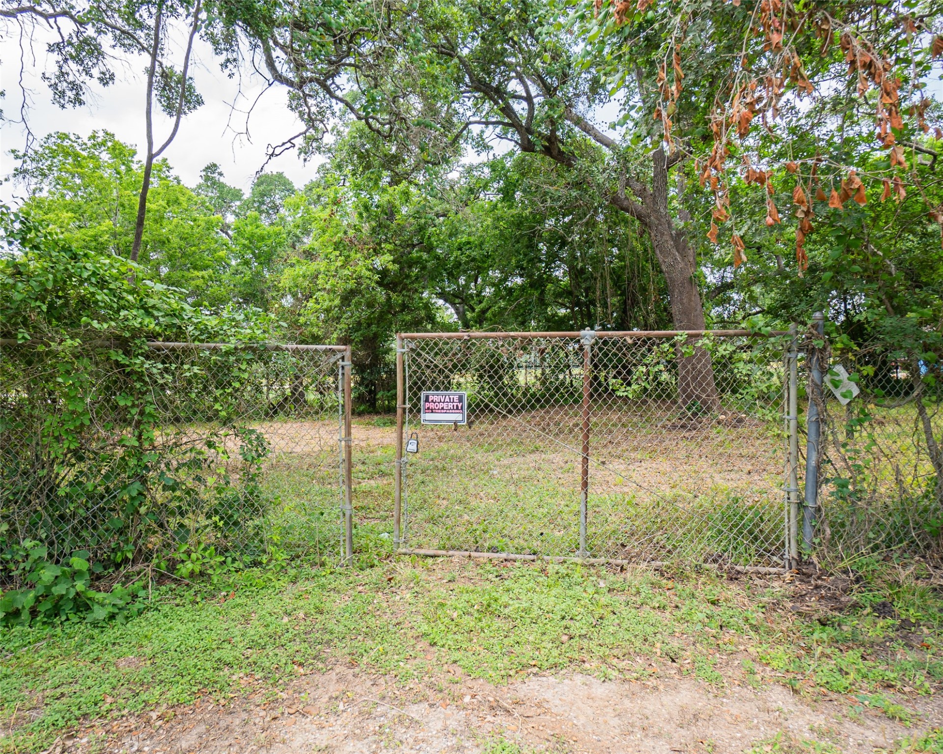 0 N Guinevere Drive Property Photo 5