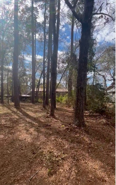 0 Honeysuckle Property Photo 7