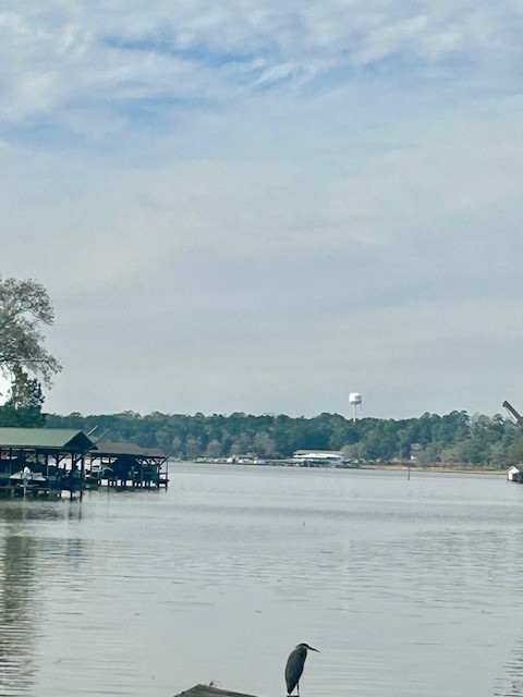 0 Honeysuckle Property Photo 13