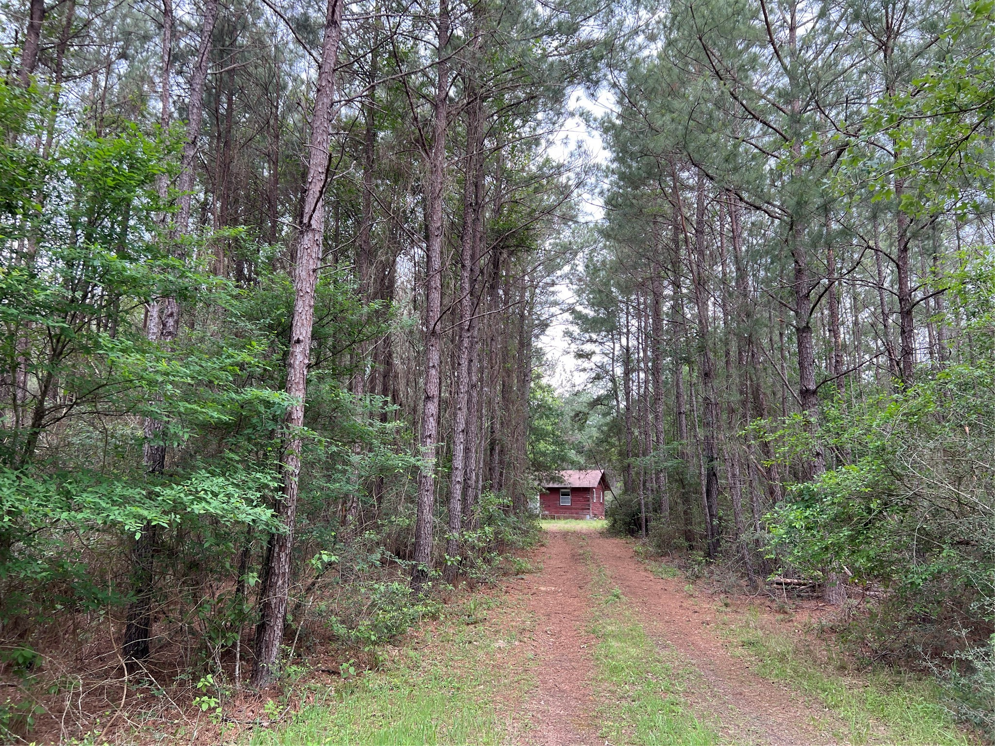 (tract 1) 33 Eubanks Road Property Photo 2