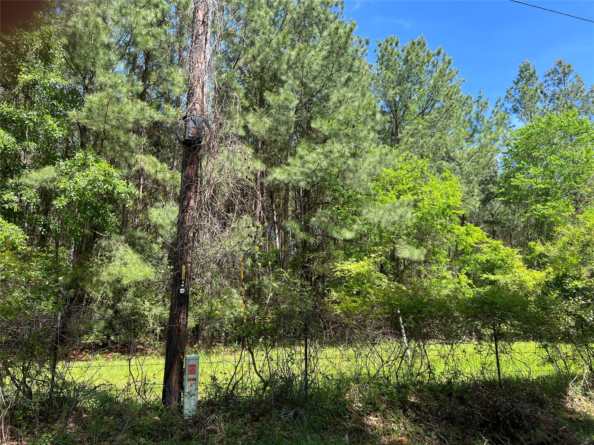 (tract 1) 33 Eubanks Road Property Photo 3