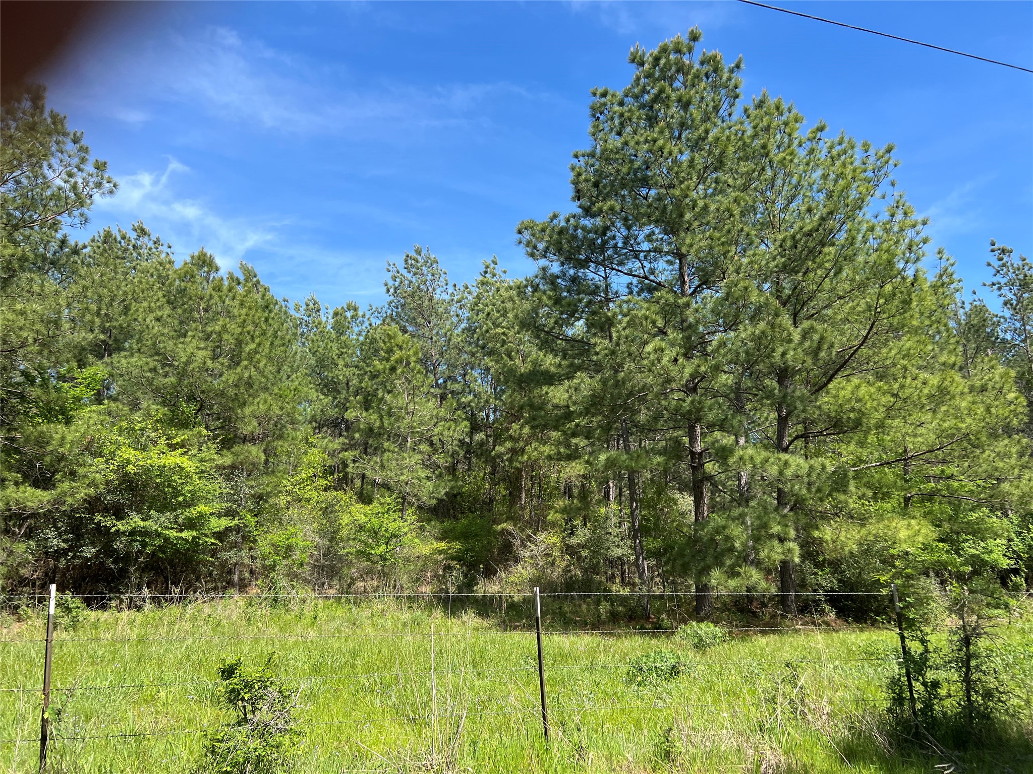 (tract 1) 33 Eubanks Road Property Photo 4