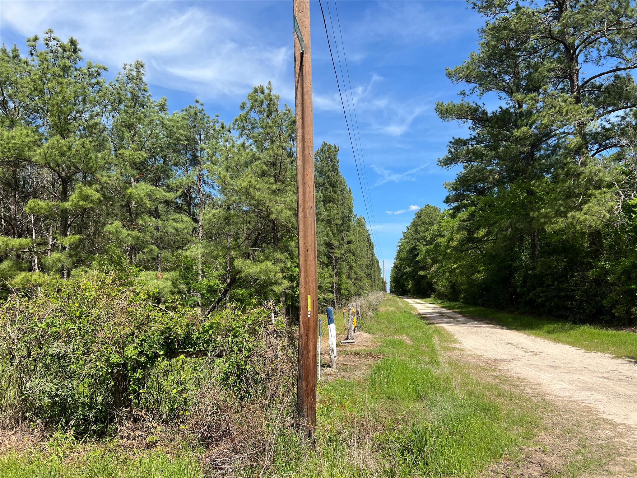 (tract 1) 33 Eubanks Road Property Photo 5