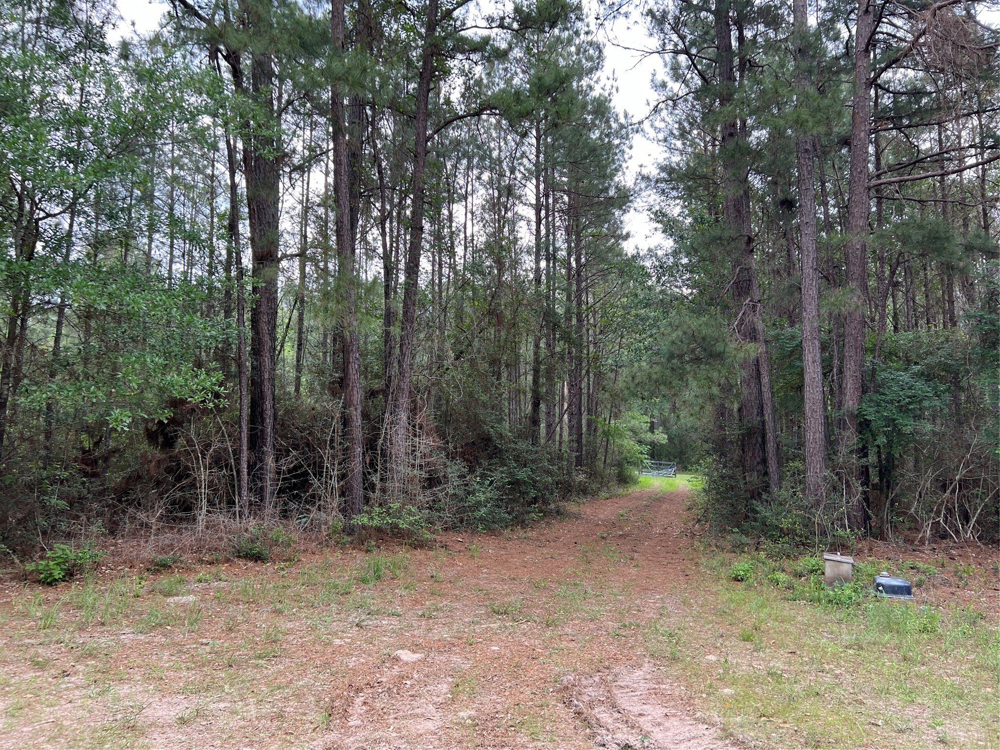 (tract 1) 33 Eubanks Road Property Photo 6