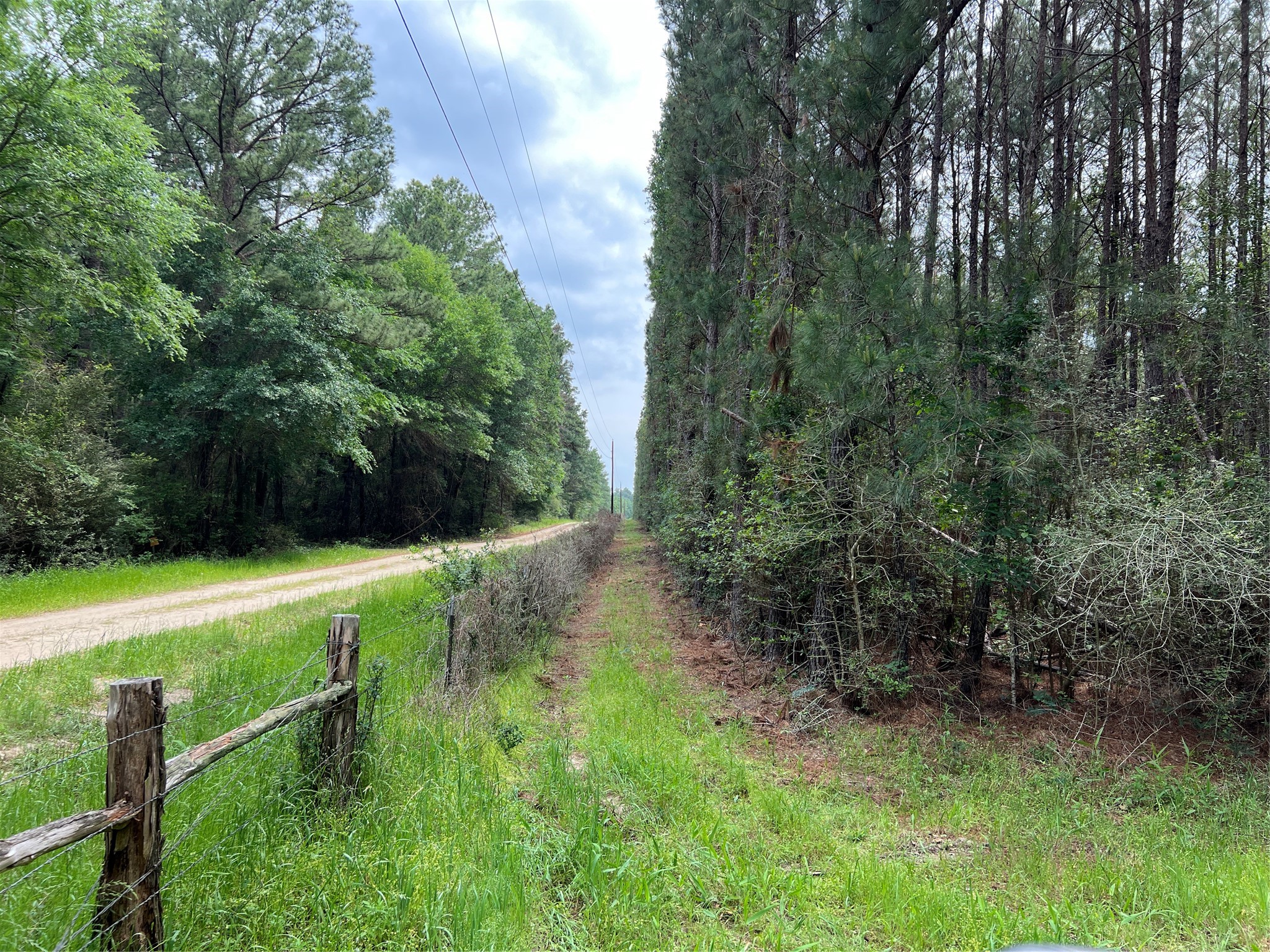 (tract 1) 33 Eubanks Road Property Photo 10