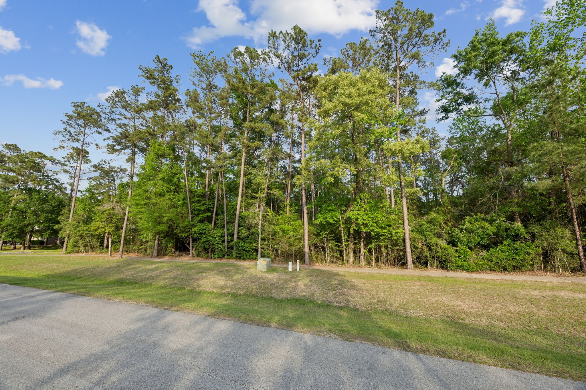 27322 Whispering Maple Way Property Photo 1