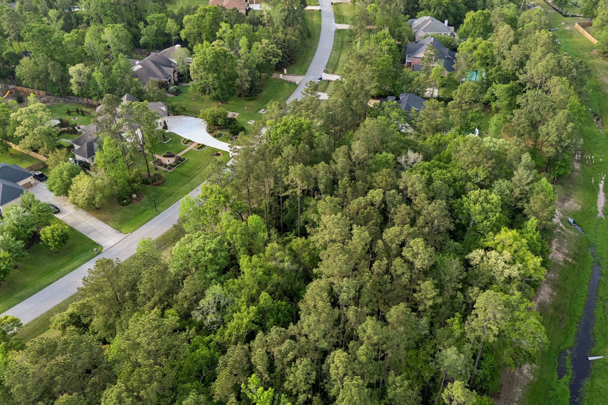 27322 Whispering Maple Way Property Photo 6