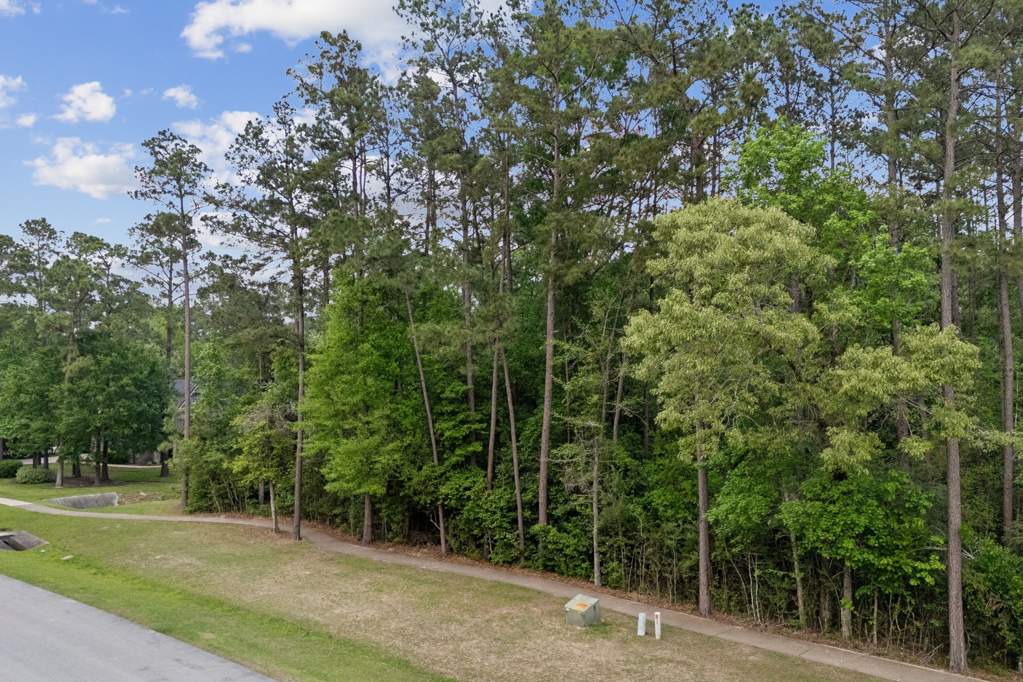 27322 Whispering Maple Way Property Photo 7