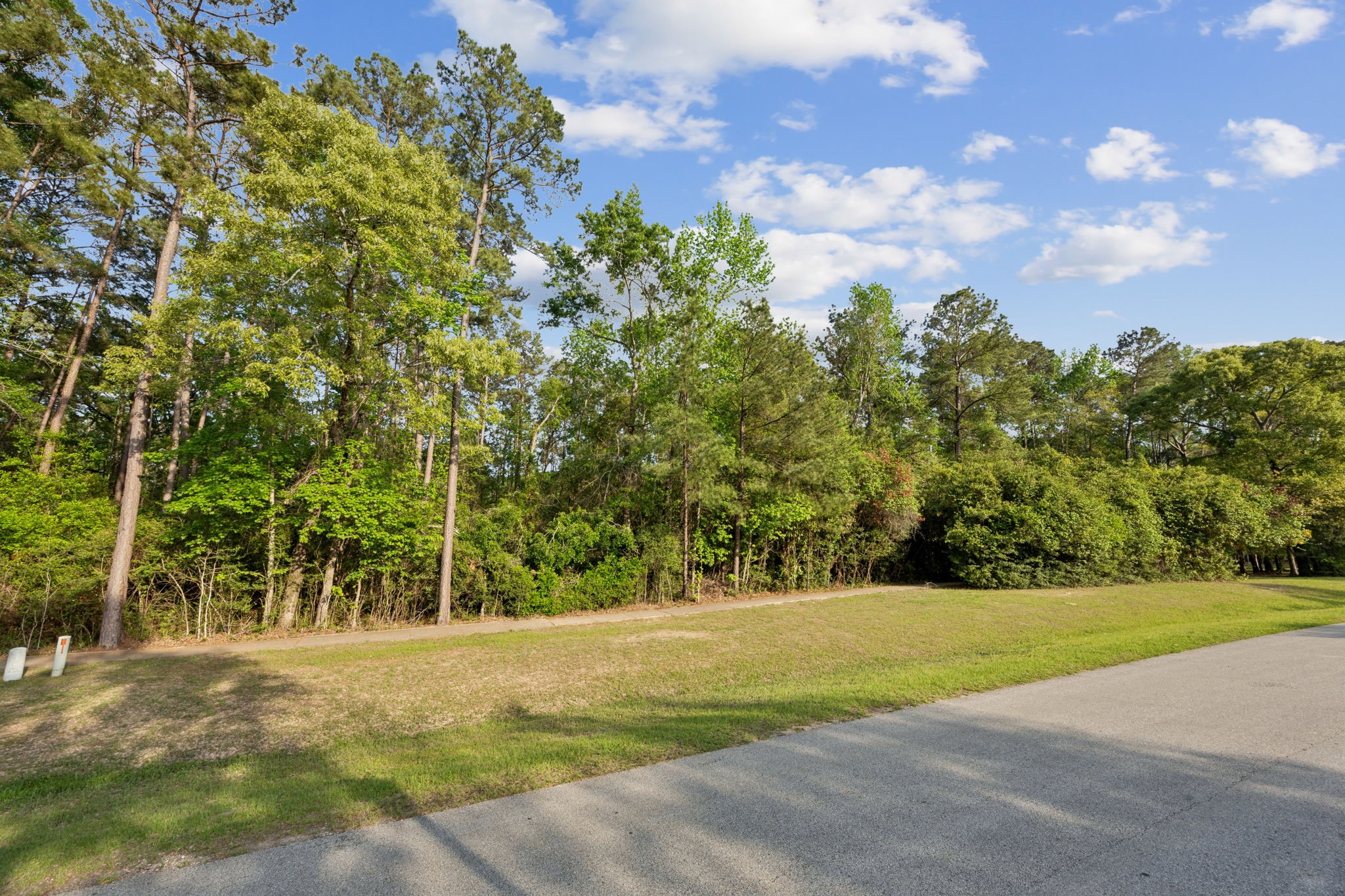 27322 Whispering Maple Way Property Photo 10