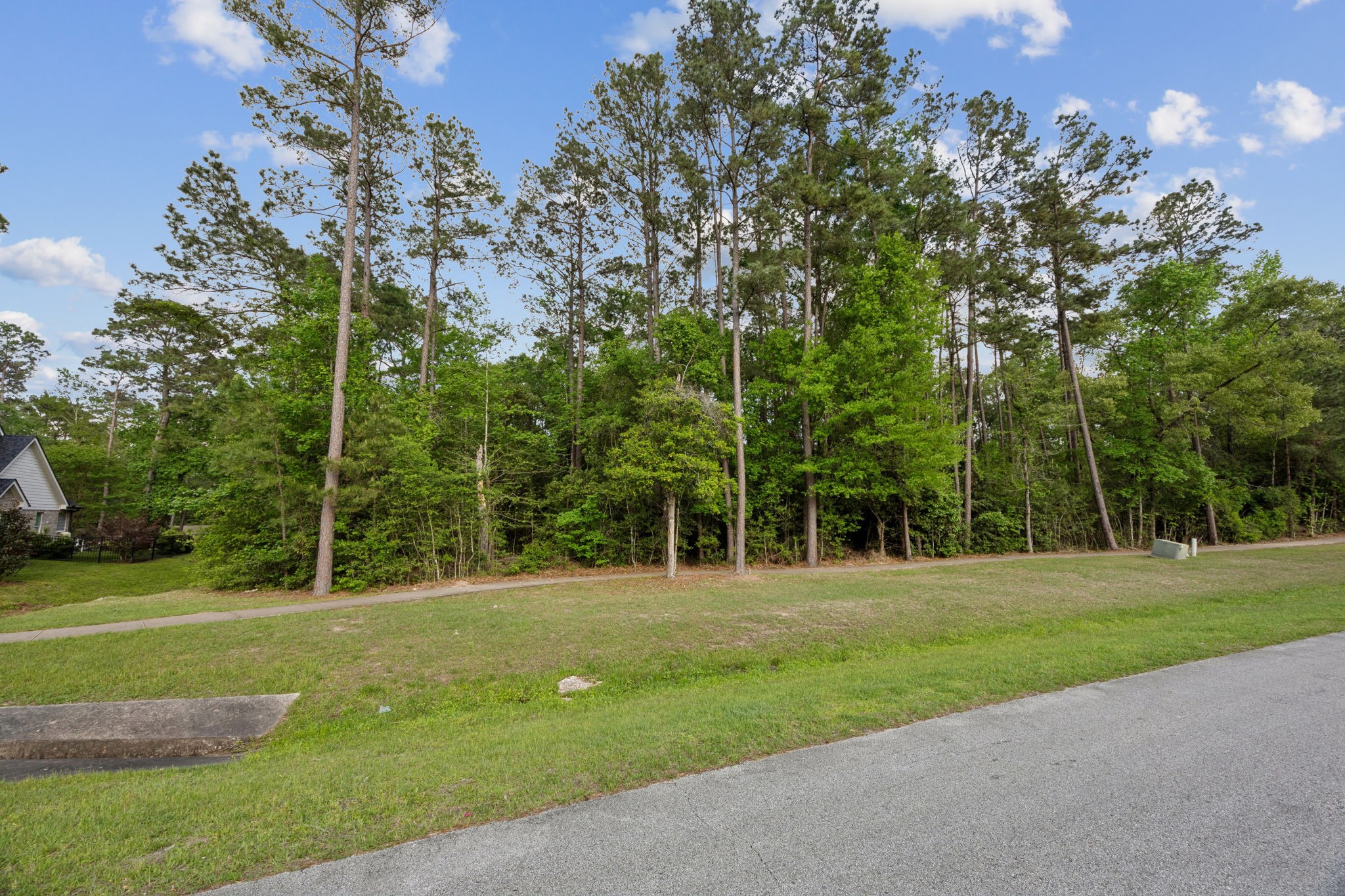 27322 Whispering Maple Way Property Photo 11