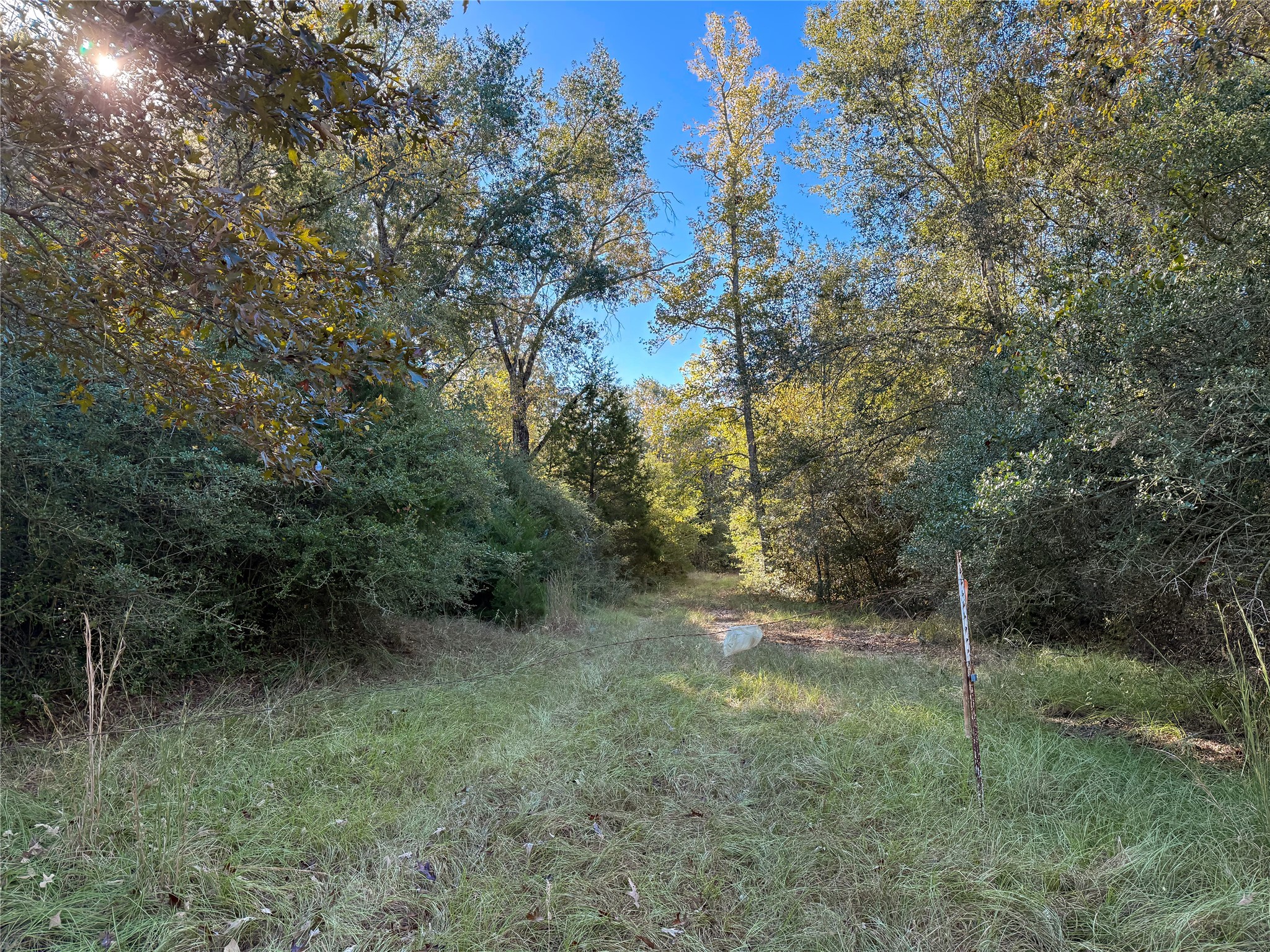 Tbd A Pr 2150 Property Photo 3